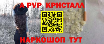 спиды Гай