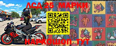 спиды Гай