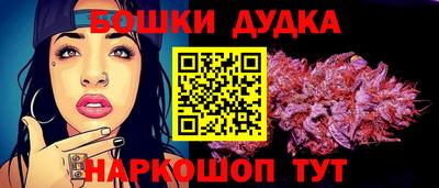 спиды Гай