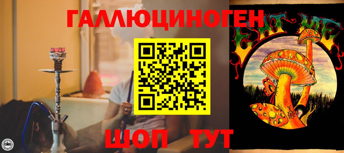 Псилоцибиновые грибы GOLDEN TEACHER  Вход с VPN  Псилоцибиновые грибы Psilocybine cubensis  Мыски 