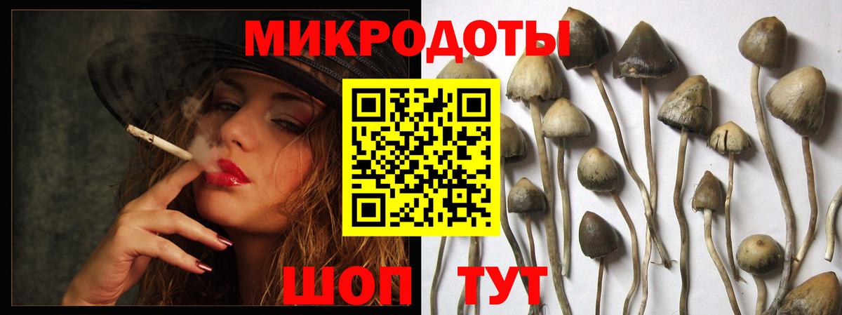 Псилоцибиновые грибы Psilocybine cubensis Мыски